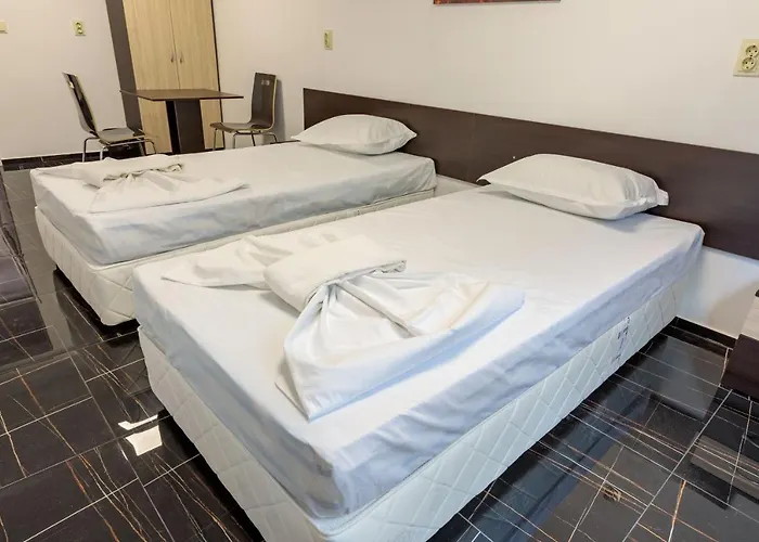 за гости пиротска 39