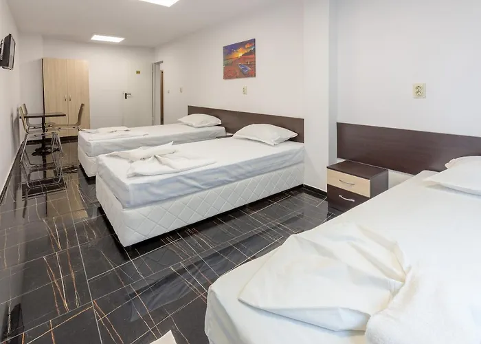 Homestay szállás за гости пиротска 39 *